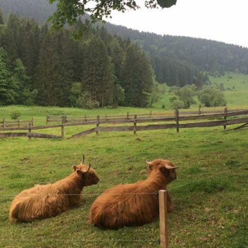 Gasthof Kanzlersgrund