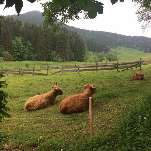 Gasthof Kanzlersgrund