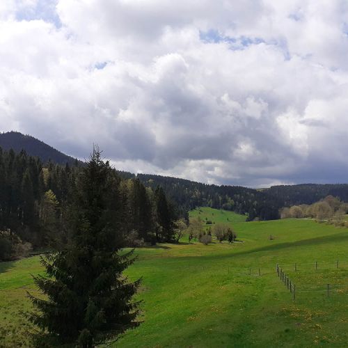 Gasthof Kanzlersgrund